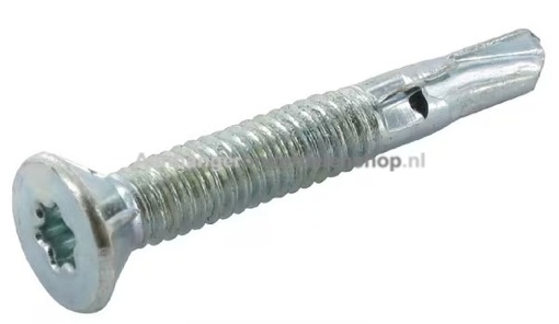 Afbeeldingen van Zelftappende Plaatschroef 5,5x38MM TX25