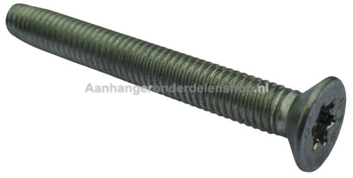 Afbeeldingen van Trailervloer Schroeven M6x50 TX30
